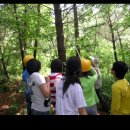 둔내캠프 이미지