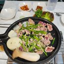 오리본가 이미지