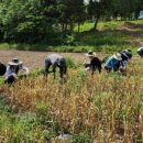 군동면사무소 이미지