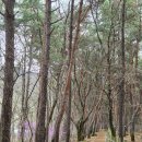 장지공원 약수터 | 서울 근교 등산 검단산 추천 코스 주차