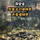 곤충생태관_1 | 화담숲 비올때 걱정끝 실내 민물고기생태관 곤충생태관 관람후기