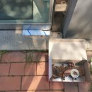 청라온누리약국 이미지