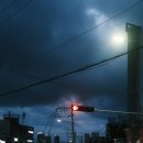 매그네이트 이미지