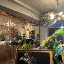 그린피버 이미지