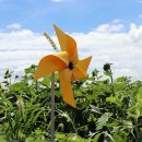 바람개비 이미지