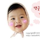 호로록