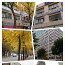 김성일치과의원 이미지