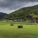 의령 수성리 지석묘군 이미지