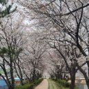 마성면 행정복지센터 이미지