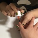 Holly Molly 네이버블로그