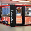 고릴라 복싱 이미지