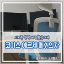 넷티스 | 코아스 에르체 메쉬의자 구매후기! 비싼만큼 돈값은 하긴 하네요