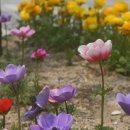 서대산약용자연휴양림 이미지