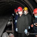 선철농장 연합뉴스