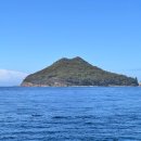 오리떼 편의점 | [호주/시드니] 시드니 포트스테판 투어 | 호주무한투어 후기