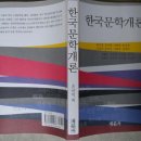 한국문학개론 이미지