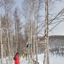 청해태양광 이미지