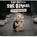김**-67 | 김햄찌 팝업스토어 내돈내산 햄찌 굿즈 신세계 강남...출근햄니다 팝업 굿즈 가격 정보 모니터 피규어 후기