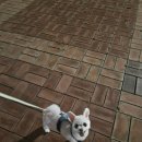 봄나래동물병원 이미지