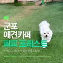 퍼피포레스트 이미지