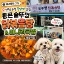 동암생활용품도소매 | [인천/부평] 동암역 애견동반 맛집 추천! 통큰 솥뚜껑닭볶음탕&미나리국밥 동암역점 후기