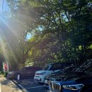 향나무식당 | 서울 근교 애견동반 계곡 식당 | 경기도 광주 남한산성 향나무집 평상 자리 꿀팁