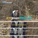 엔젤모텔 이미지