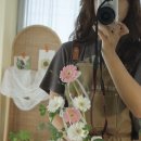담장아래과꽃 이미지