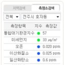 대기오염 사례연구 (개별보고서) 이미지