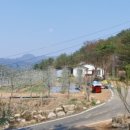 횡계고려의원 이미지