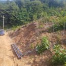 관정목장 이미지