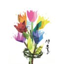 이새로미 카카오 검색결과