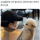 츄카