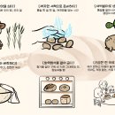 (주)참농부