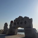충남당진 왜목마을 좌대낚시 솔직후기