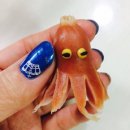 삼촌이모과일
