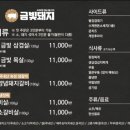 금빛돼지 이미지