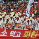 배정현 축산 이미지