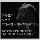 지리산토종흑염소농장 네이버블로그