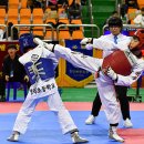 정선태권도체육관 이미지