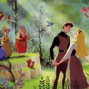 안경코리아 이미지