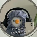 산장러브스토리 | 셋로그가 질려서 블로그로 돌아옴