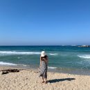 회동목장 이미지