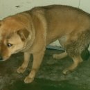 송담4로 이미지