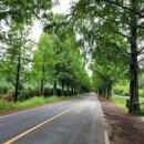 장승초등학교(병설) 이미지