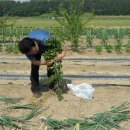 찬영농장 이미지