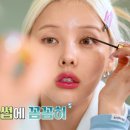 포니래쉬