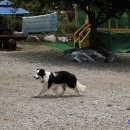 꽃지통나무펜션 이미지