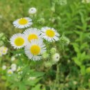 행궁파출소 이미지