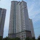 88웰빙